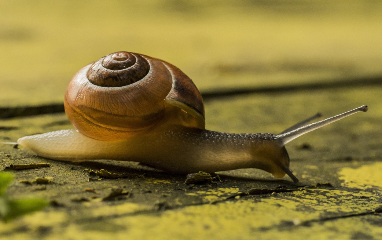 How to reduce latency - Witbe blog post