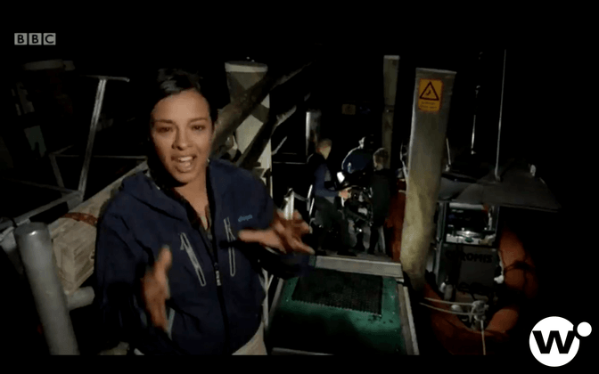 What is the best neighborhood in London to stream videos on mobile devices? article