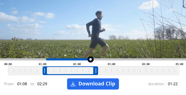 Smartgate Level 4 report option to record and download video clips for error analysis.